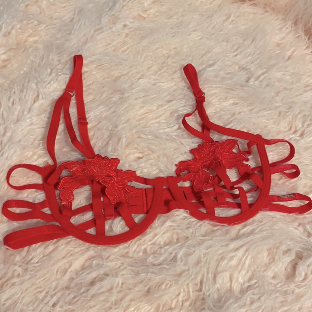 Bluebella Red Bra 36D